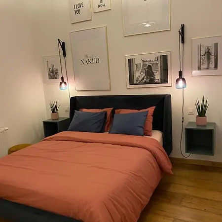 Cozy W/ King Bed Great For Discovering アパート リエージュ